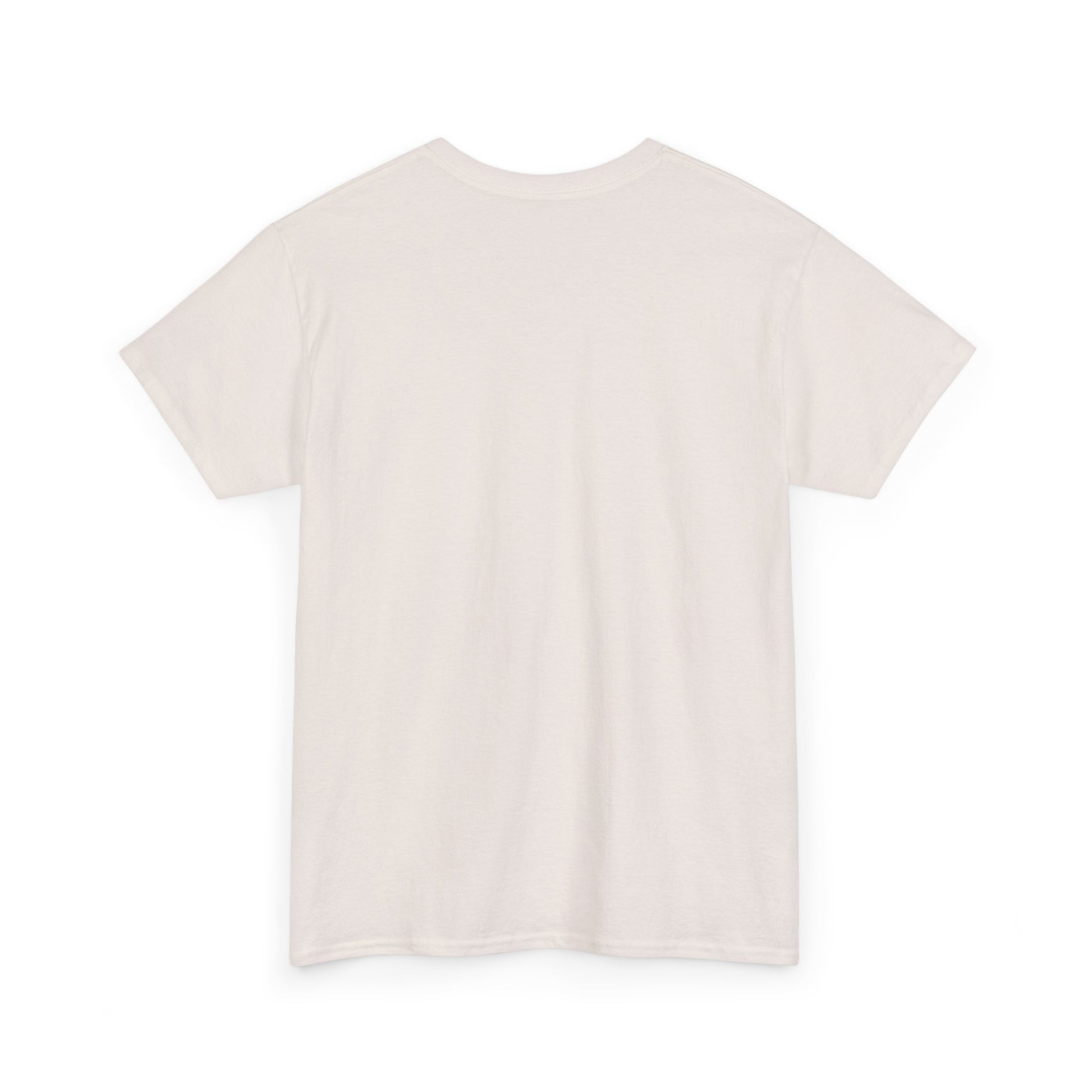 No Kings in America T-Shirt