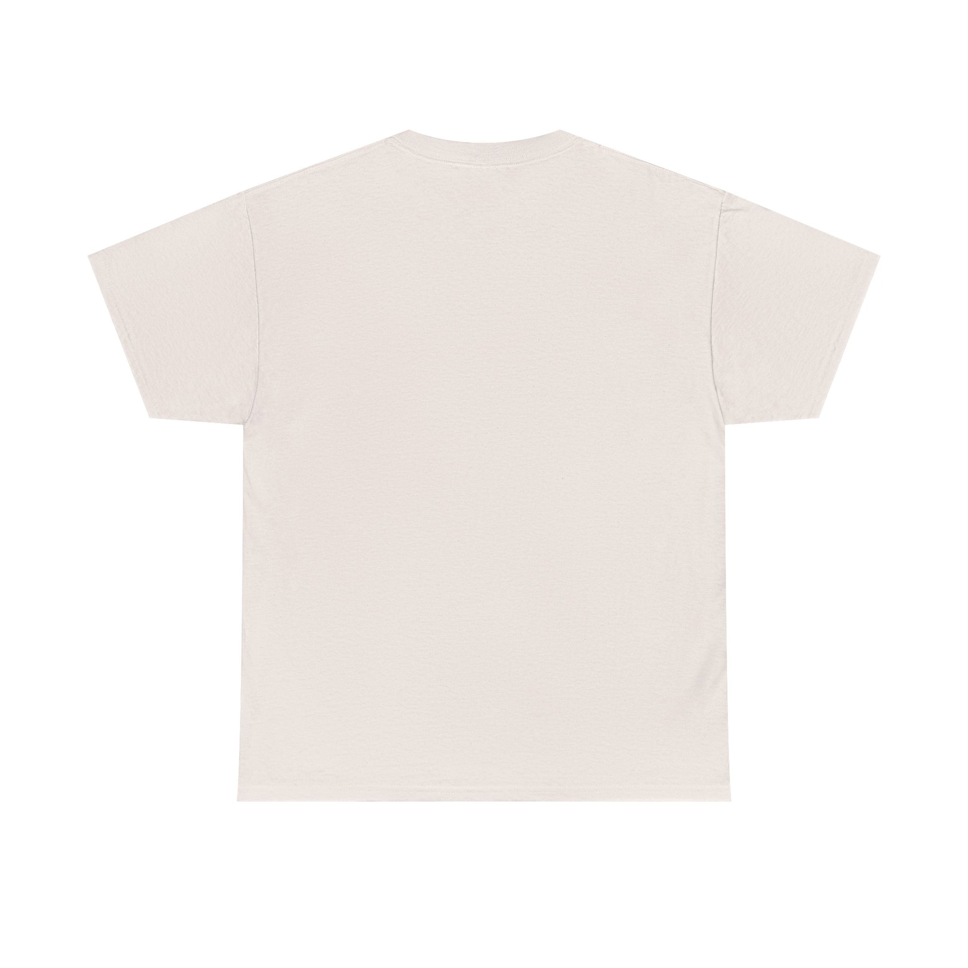 No Kings in America T-Shirt