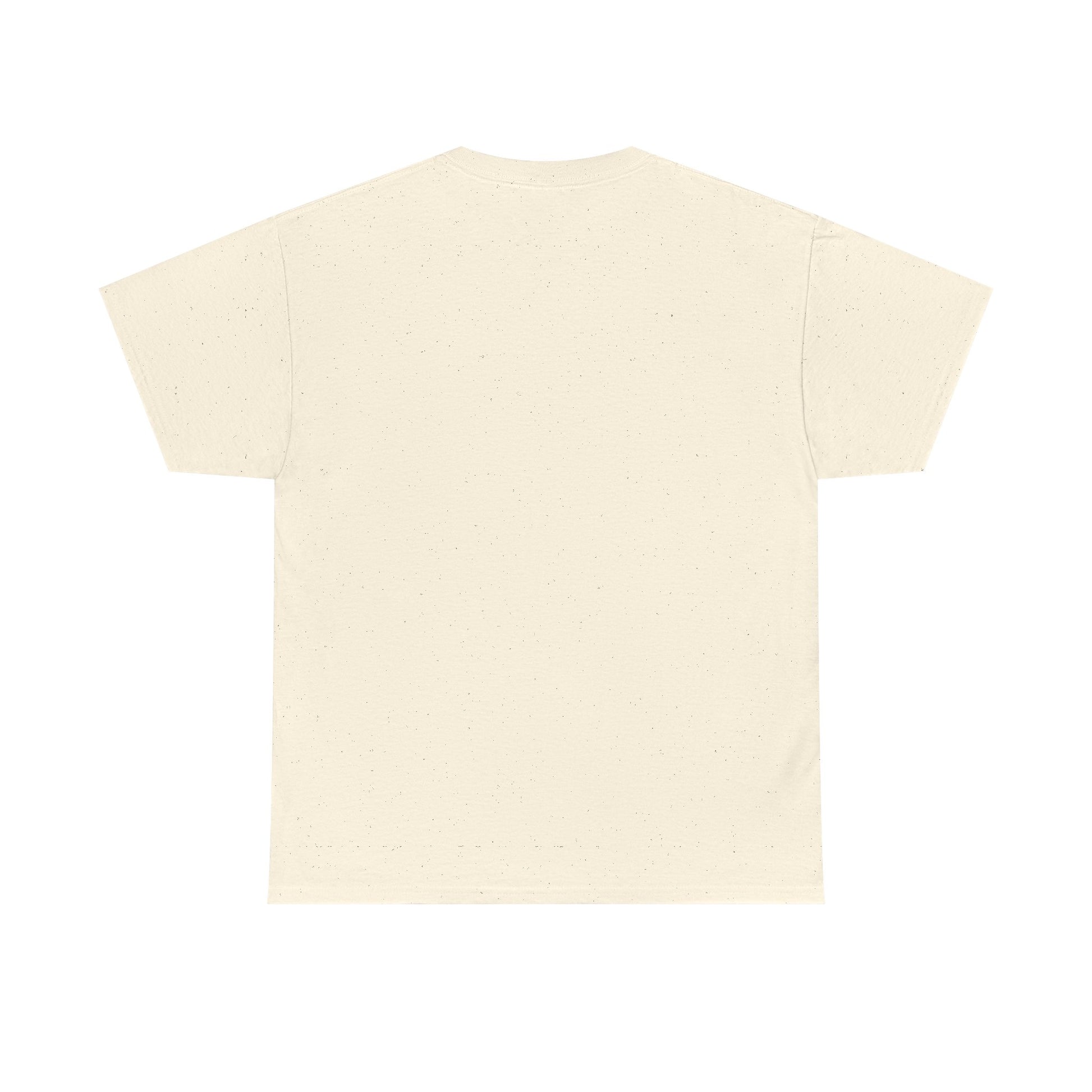 No Kings in America T-Shirt
