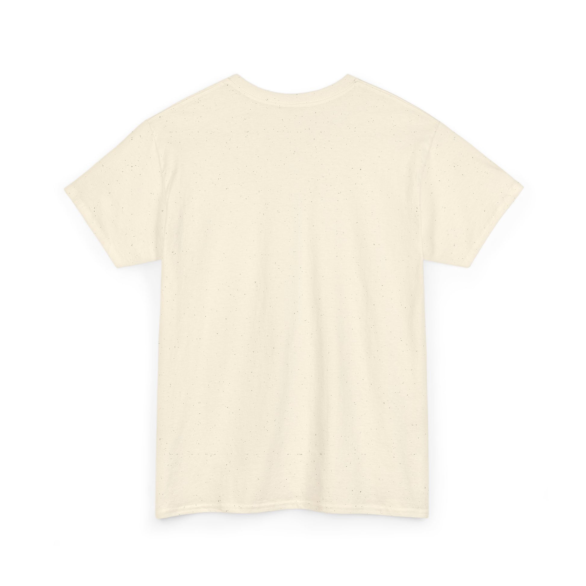 No Kings in America T-Shirt