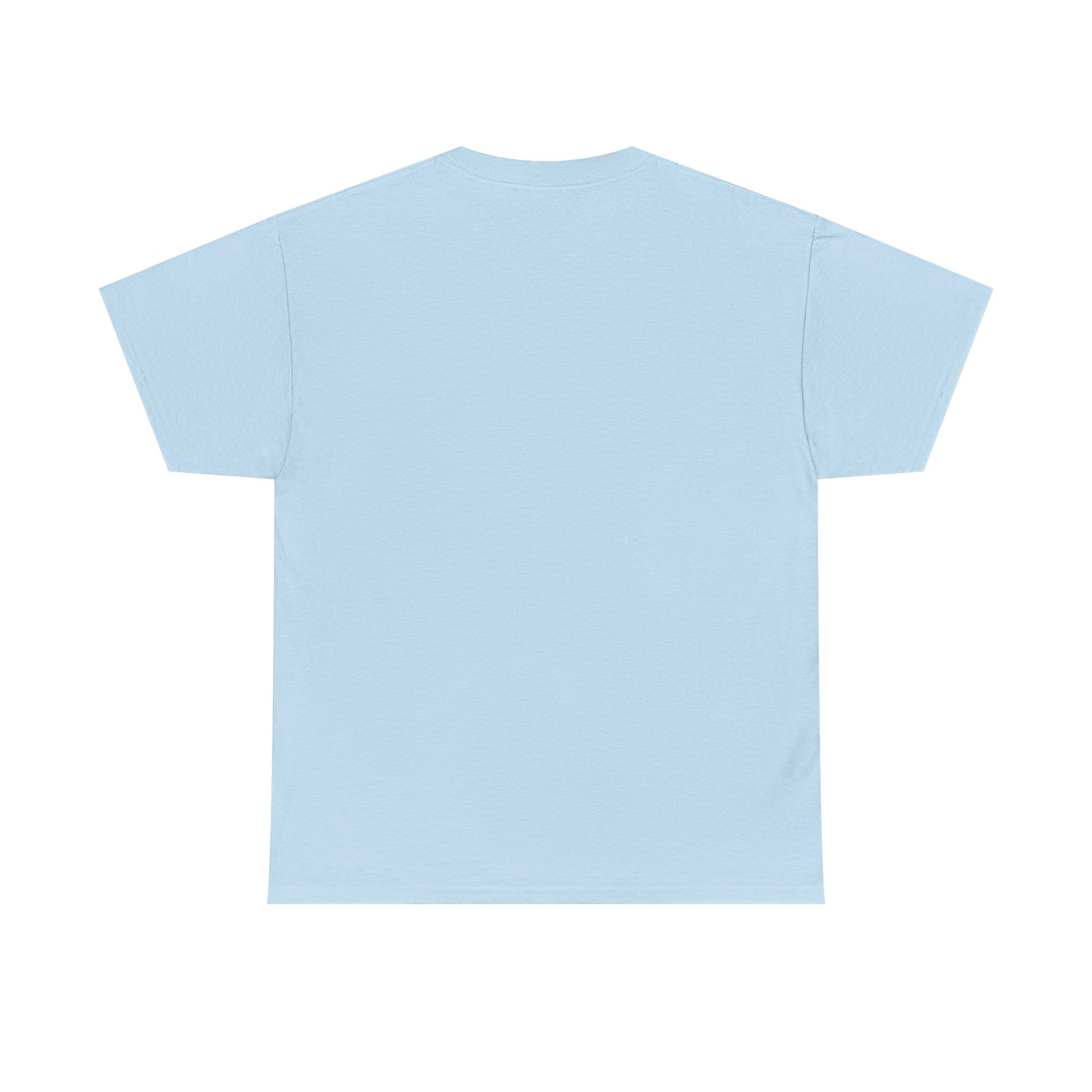 No Kings in America T-Shirt
