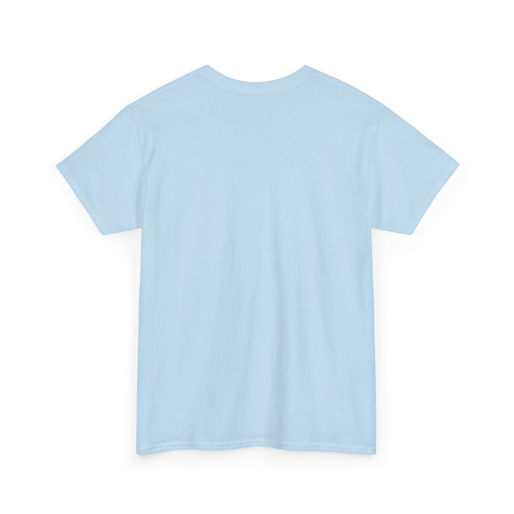No Kings in America T-Shirt
